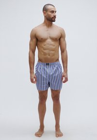 Pánske prúžkované plavecké šortky v modrej a bielej farbe, vyrobené z ľahkej látky, s elastickým pásom a voľným strihom.