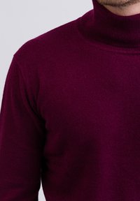 CASH-MERE ROLLKRAGEN  - Maglione - cranberry rot