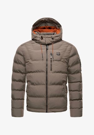 ARVIDOO - Winter jacket - stone brown