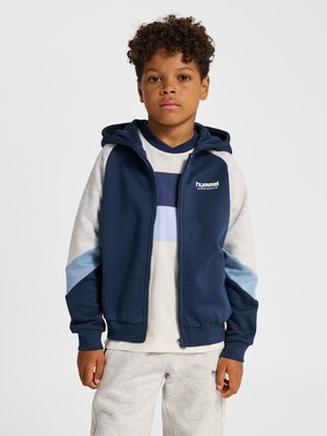 Hummel, LOOSE BLOCKED ZIP HOODIE - Zip-up sweatshirt - dress blues faded denim