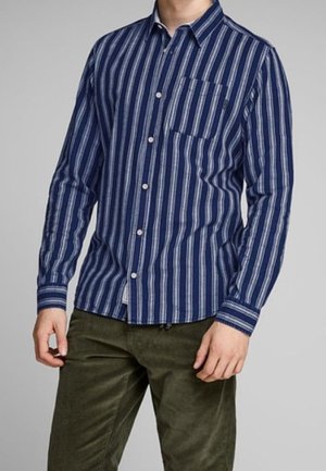 Mand iført en blå og hvid vertikalt striped skjorte med brystlomme og mørkegrønne bukser, stående mod en ensfarvet baggrund.