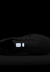 Nike Performance Zapatillas running asfalto - light grey