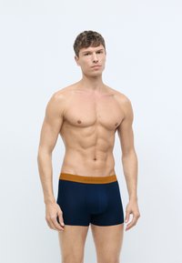 Zilas boksershorts ar brūnu jostu, uz priekšu ir izdrukāts zīmols "SCHIESSER". Izgatavoti no mīksta, gluda auduma.