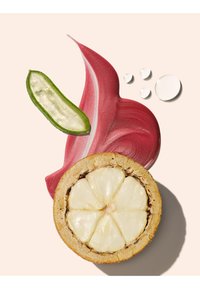 Coupe transversale d’un fruit avec des segments blancs, une tranche de feuille verte, une trace de crème rouge et quatre petits comprimés blancs sur un fond pâle.