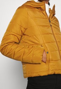 Senkrecht gelbe Daunenjacke mit Kapuze, mit einem gesteppten Design, Reißverschluss, seitlichen Taschen und einer glatten, glänzenden Textur.