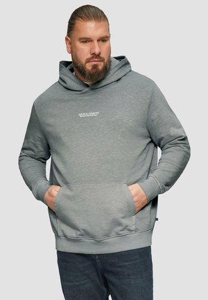 Grijze pullover hoodie met een kangoeroezak, lichtgewicht stof en een klein wit logo op de borst. Geribbelde manchetten en zoom.