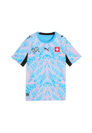 SFV HOME WM 2026  REPLICAS - NATIONALTEAMS - Article de supporter d'équipe nationale - blau