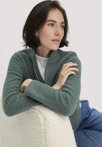 Groene fleece zip-up trui met een hoge kraag en lange mouwen, met een zachte textuur en een relaxte pasvorm. Lichte achtergrond en crème kleurige kussen.