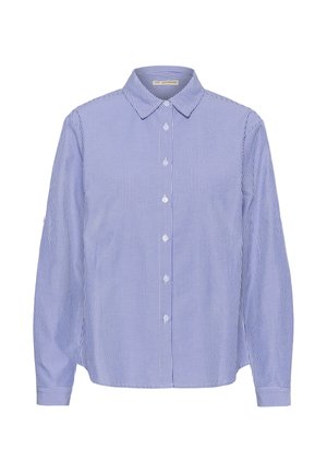 Sinine ja valge vertikaalsete triipudega nööbitav särgi pikkade varrukatega ja terava kraega, esitatuna lamedalt valgel taustal.