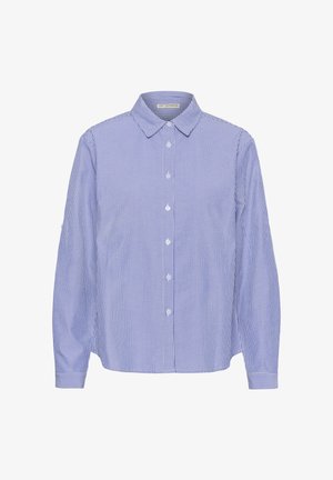 Sinine ja valge vertikaalsete triipudega nööbitav särgi pikkade varrukatega ja terava kraega, esitatuna lamedalt valgel taustal.