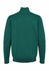 Pull vert foncé à manches longues avec poignets, taille et col côtelés, vu de dos sur fond blanc.