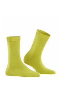 Grüne Socken aus einem weichen, gestrickten Material, mit einem gerippten Bündchen und einem glatten Schaft, in einfarbig und nahtlosem Zehendesign.