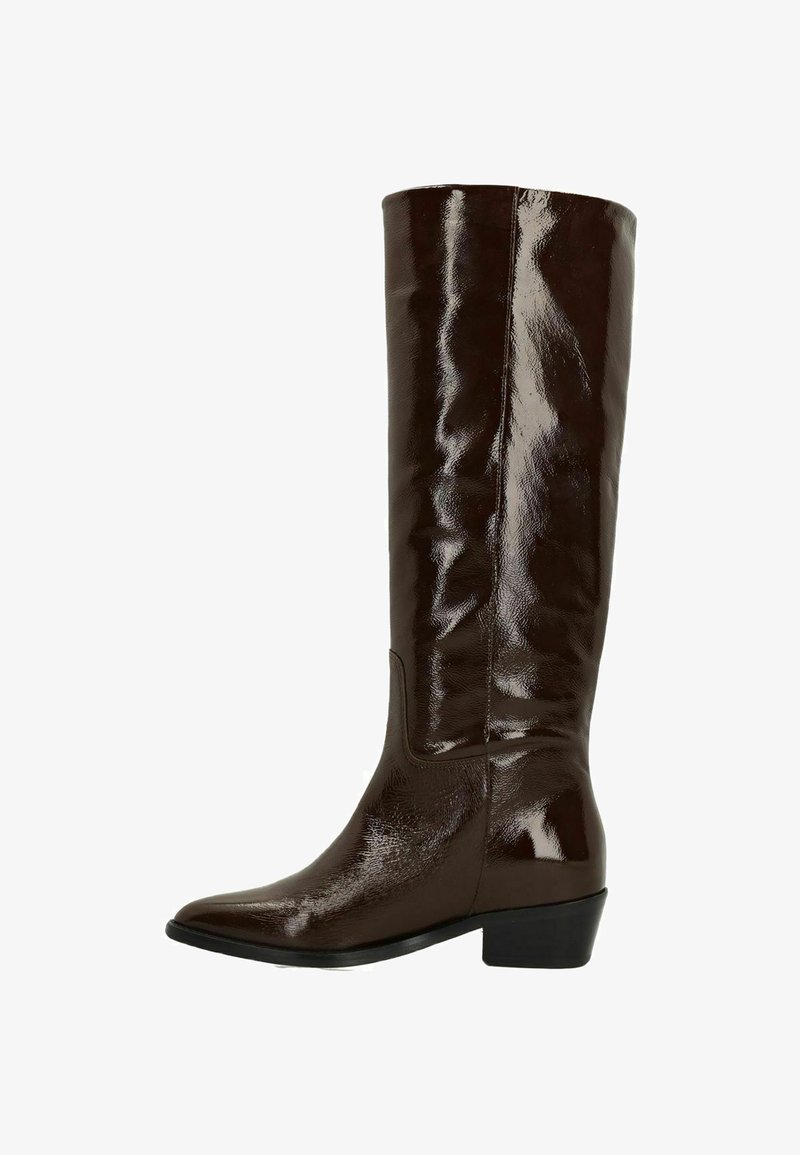 Brown, glossy knee-high boots with a pointed toe, slight heel, and smooth texture. Features a fitted shaft and minimal detailing.