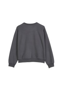 Grauer, kurzer Sweater aus einem weichen Stoff, mit langen Ärmeln, rundem Ausschnitt sowie gerippten Bündchen und Saum. Glatte Textur mit minimalen Details.