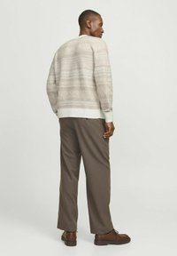 Beige gestreepte trui gemaakt van zachte stof, met een ronde hals, geribbelde manchetten, gecombineerd met een bruine broek en schoenen.