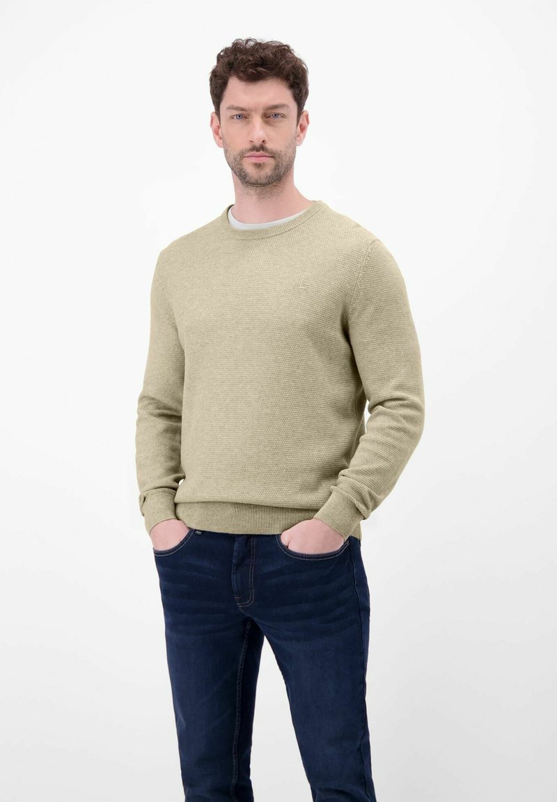 Light green sweater with a textured knit, crew neck, and ribbed cuffs, paired with dark blue jeans. Model stands with hands in pockets.