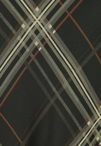 Tela de cuadros que presenta verde oscuro y negro con líneas diagonales en crema, marrón y gris. Textura suave y patrón estrechamente tejido.