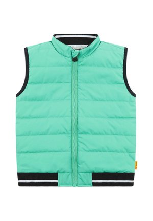 TEAM - Veste sans manches - winter green