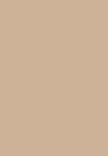 N°220 sand beige