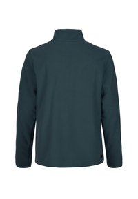 Pullover in felpa color te verde scuro con colletto alto, maniche lunghe e una texture liscia. Presenta un'etichetta discreta del marchio all'orlo.