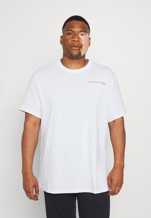 PALM SPRINGS LONGLINE TEE - T-shirt imprimé - white