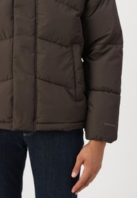 Jack & Jones JJWORLD  jasny brąz