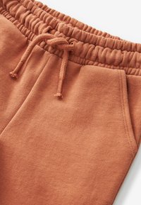 Next TOUCH - Träningsbyxor - rust brown