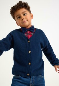 Marineblauer Strickcardigan mit V-Ausschnitt, fünf braunen Knöpfen und gerippten Bündchen, getragen über einem rot-karierten Hemd, kombiniert mit Jeans.