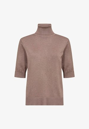 Maglione a maniche corte, collo alto in morbido maglione di colore marrone chiaro. Texture liscia con bordi a costine sul collo e sulle maniche. Design semplice.