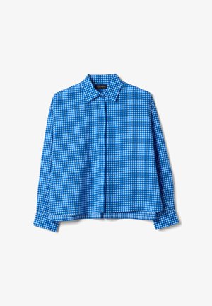 Blauw-wit geruit overhemd met lange mouwen en knopen, met een kraag, plat neergelegd op een witte achtergrond.