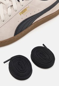 Beżowe zamszowe trampki z czarnymi akcentami, złotym brandingiem i gumową podeszwą. W zestawie dwa czarne okrągłe sznurówki.