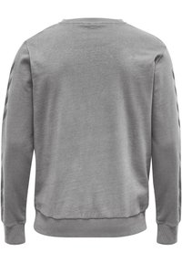 Rückansicht eines schlichten grauen Sweatshirts mit langen Ärmeln, gerippten Bündchen und Saum, mit dunklen Chevron-Mustern auf den Ärmeln.