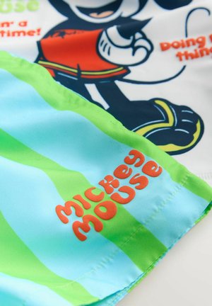 Maudymosi šortai su mėlynos ir žalios spalvų dryžuotu raštu, kuriuose yra raudonos ir mėlynos Mickey Mouse grafika. Stambiu oranžinės spalvos šriftu ant krašto parašyta „Mickey Mouse“.