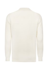 Kreemikaalusega kudum, millel on ümar kaelus, pikad varrukad ja ribakujulised mansetid. Sile tekstuur ja lihtne disain, ilma nähtavate mustrite või aksessuaarideta.