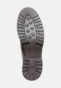 Henry Stevens BARKLEY - Stivali da neve  - schwarzbraun