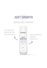 Goldwell GOLDWELL DUALSENSES JUST SMOOTH TAMING SHAMPOO - Shampoing
