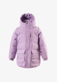 Geselecteerd, crocus petal purple