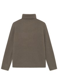Pulover cu caneluri, de culoare verde olive închis, cu guler înalt. Are mâneci lungi și un corp tăiat drept. Textură moale. Vedere din spate.