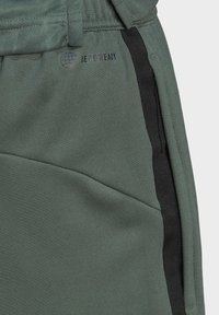 Närbild av gröna tygshorts med svarta detaljer och "AEROREADY"-logotyp nära midjan.