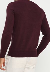 Bordeauxfarbener Strickpullover mit langen Ärmeln, runder Ausschnitt und geripptem Saum. Glatte Textur und figurbetonte Passform. Schlichte Rückansicht.