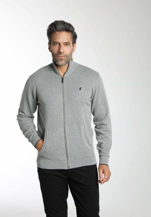 COL CAMIONNEUR  - Sweat zippé - gris