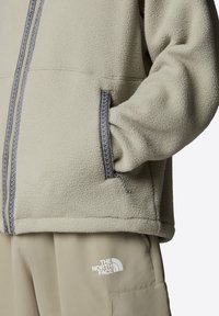 The North Face TNF FLEESKI - Forro polar - clay grey