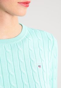 Maglione lavorato a maglia verde menta con motivo a trecce, scollo rotondo e piccolo logo ricamato sul petto. Tessuto morbido.