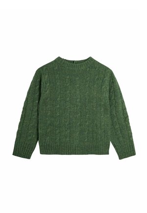 Groene kabelgebreide wollen trui met lange mouwen, geribde boorden, zoom en ronde hals op een witte achtergrond.