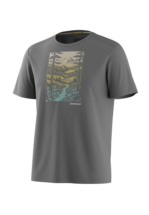 Grijs T-shirt met korte mouwen en een natuurgrafiek van een rivier, bomen, bergen en de tekst "Smartwool" aan de voorkant.