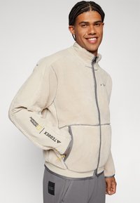 adidas Terrex NATIONAL GEOGRAPHIC JACKET UNISEX - Flísová bunda - alumina