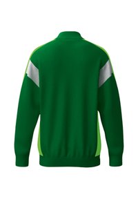 Grüner Pullover mit langen Ärmeln, ausgestattet mit Limettengrünen Seitenpaneelen und reflektierenden grauen Akzenten auf den Schultern. Weiche Textur.