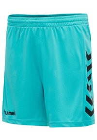 Türkise Sportshorts mit elastischem Bund, die ein schwarzes Logo und ein Zickzackmuster an der Seite aufweisen. Glattes, leichtes Material.