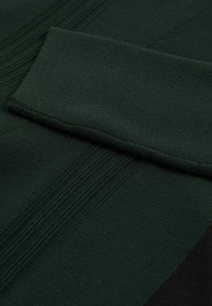 Reiss, REGULAR FIT - ZADIE CONTRAST-PANEL SKATER  - Abito in maglia - green/black