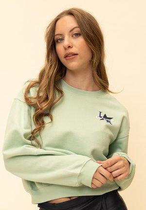 Lichtgroene sweatshirt met een ronde hals, geribbelde manchetten en een grafische print op de voorkant met een ster en tekst. Zachte textuur.